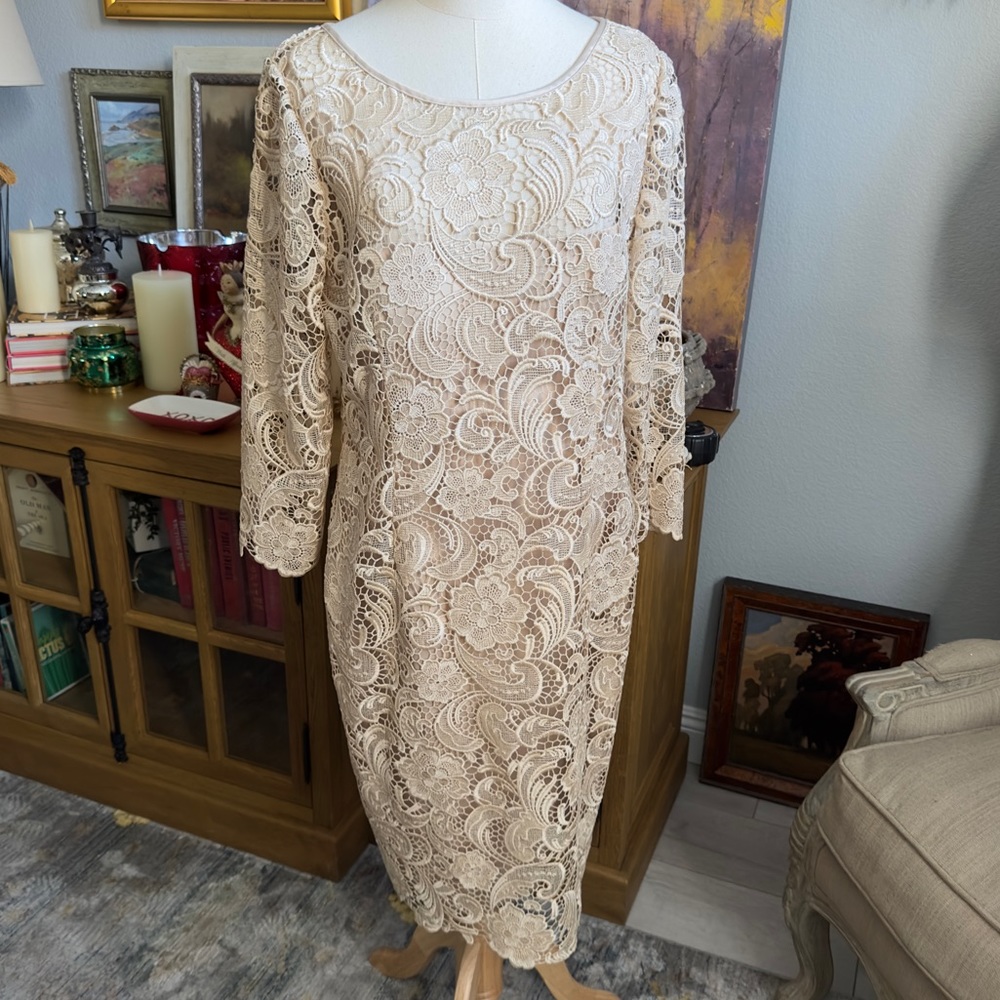 NWT Adrianna Papell 16 Champagne Lace 3/4 Sleeve Cocktail Dress